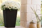 Садовий горщик Кіпрей (38,5 &times; 38,5 &times; 57, графіт) kt-grsh-rttn-pl-m-grf фото 2